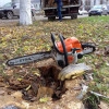 Исполнитель №134664, стаж 20 лет