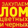 Исполнитель №134808, стаж 1 год