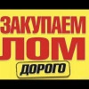 Исполнитель №135000, стаж 4 года