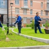 Исполнитель №135005, стаж 25 лет