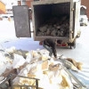 Исполнитель №135145, стаж менее 1 года