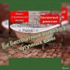 Исполнитель №135187, стаж 10 лет