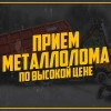 Исполнитель №135241, стаж 4 года