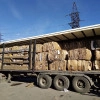 Исполнитель №135271, стаж 1 год