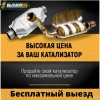 Исполнитель №135302, стаж 2 года