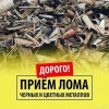 Исполнитель №135362, стаж 4 года