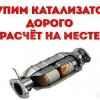 Исполнитель №135528, стаж 20 лет