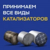 Исполнитель №135617, стаж 20 лет
