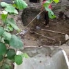 Исполнитель №135856, стаж 3 года