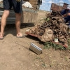 Исполнитель №135872, стаж 25 лет