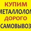 Исполнитель №135973, стаж 5 лет