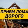Исполнитель №135983, стаж менее 1 года