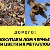 Исполнитель №136093, стаж 25 лет