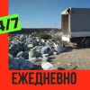Исполнитель №136329, стаж 30 лет