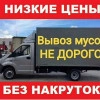 Исполнитель №136432, стаж 2 года