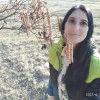 Исполнитель №136596, стаж менее 1 года