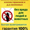 Исполнитель №136658, стаж менее 1 года