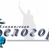 Исполнитель №136765, стаж 4 года