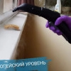 Исполнитель №136954, стаж 3 года
