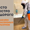Исполнитель №136966, стаж менее 1 года