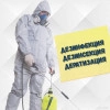 Исполнитель №137057, стаж 2 года