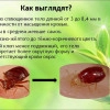 Исполнитель №137105, стаж 20 лет