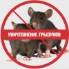 Исполнитель №137332, стаж 1 год