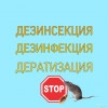 Исполнитель №137428, стаж 10 лет