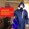 Исполнитель №137459, стаж 4 года