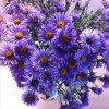 Исполнитель №137460, стаж 5 лет