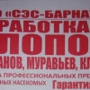 Исполнитель №137537, стаж 4 года