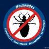 Исполнитель №137564, стаж 1 год