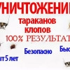 Исполнитель №137786, стаж 25 лет