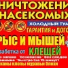 Исполнитель №137799, стаж 1 год