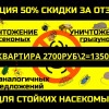 Исполнитель №137915, стаж 15 лет