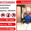 Исполнитель №137920, стаж 20 лет