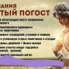 Исполнитель №137984, стаж менее 1 года