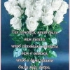 Исполнитель №138042, стаж 15 лет