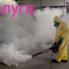 Исполнитель №138048, стаж 4 года