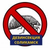 Исполнитель №138049, стаж менее 1 года