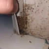 Исполнитель №138064, стаж 2 года
