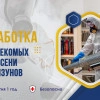 Исполнитель №138257, стаж 3 года