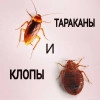 Исполнитель №138269, стаж 5 лет