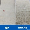 Исполнитель №138531, стаж 20 лет