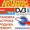 Исполнитель №139355, стаж 10 лет