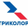 Исполнитель №139618, стаж 10 лет