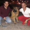 Исполнитель №139669, стаж 3 года