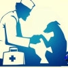 Исполнитель №139745, стаж 4 года