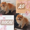 Исполнитель №139785, стаж 5 лет
