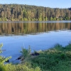 Исполнитель №139816, стаж 2 года